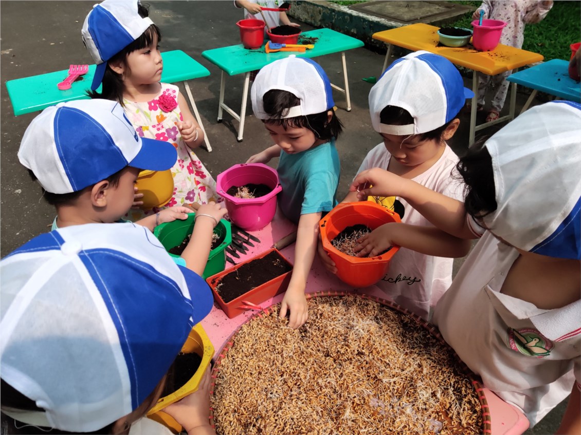 Ảnh đại diện